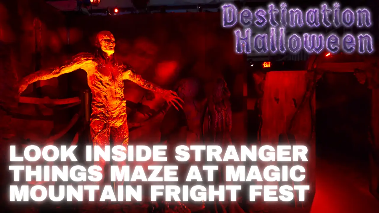 Look Inside Stranger Things Maze at Magic Mountain