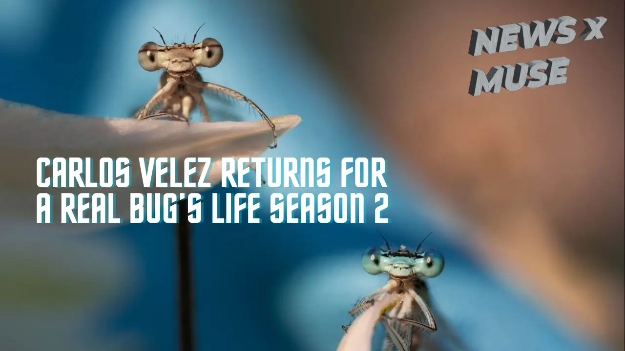 Carlos Velez Returns for A Real Bug's Life Season 2